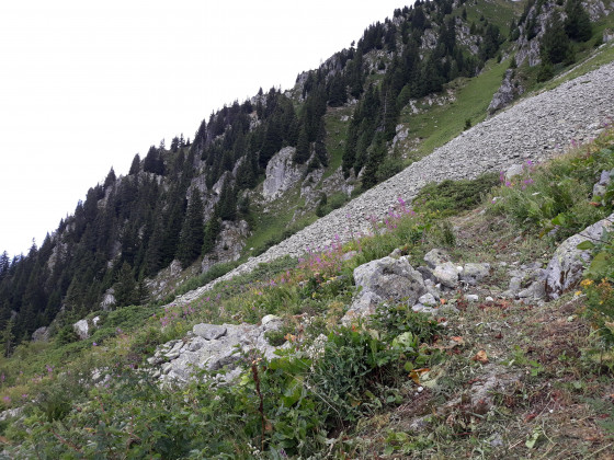 Vers le Rocher des Hirondelles