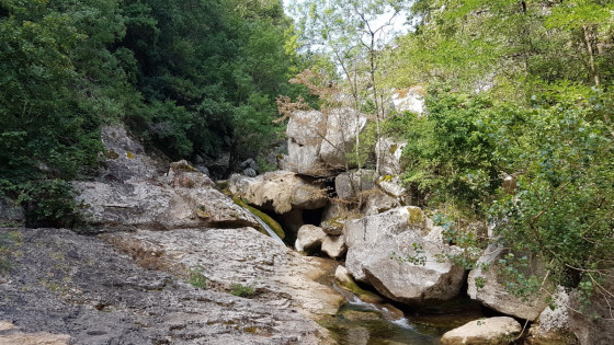 Vers le saut du cabri
