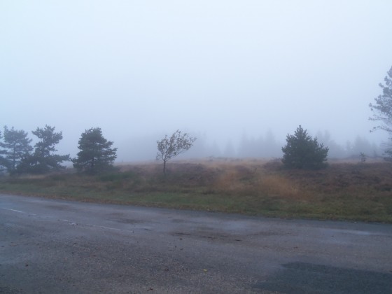 Vers le sommet de l\'Espinouse