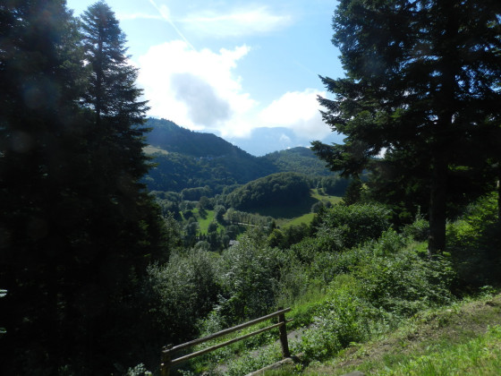 Vers le vallon de Tamié