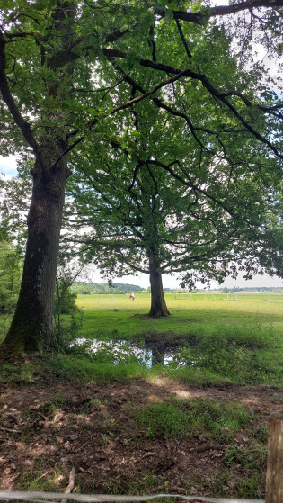 Vers les champs