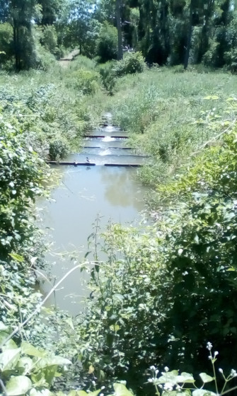 Vers les marais