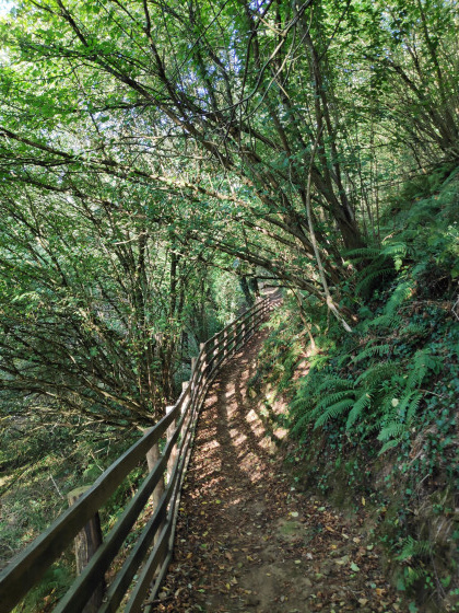 Vers les vestiges de la Citadelle