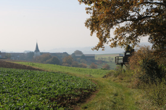 Vers Ringeldorf