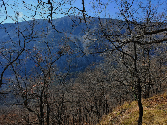 Versant sud de la vallée du Loup vu depuis Gréolières