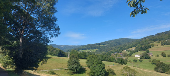 Versle col du Bermont