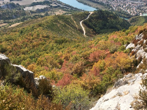 Verticalité et couleurs automnales