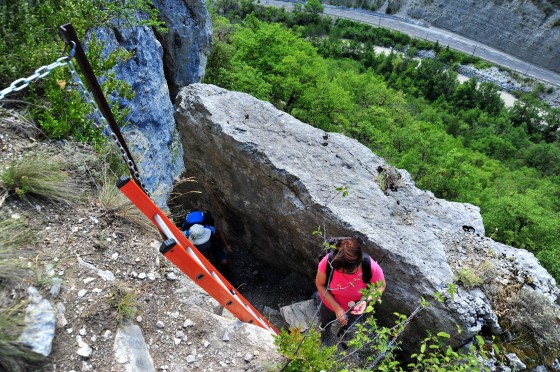 Vertigineux