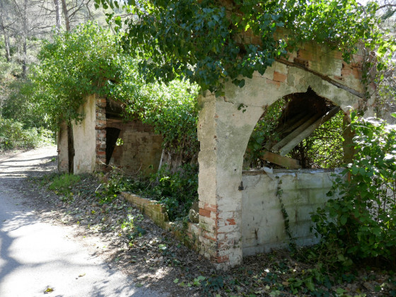 Vestige de bâtiment industriel