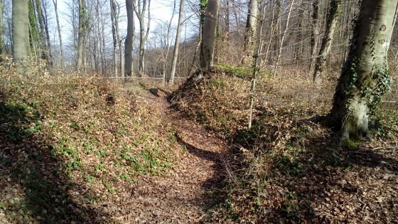 Vestige de tranchée