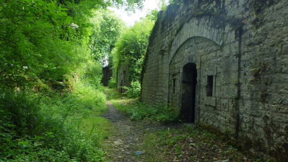 Vestige du Fort Planoise
