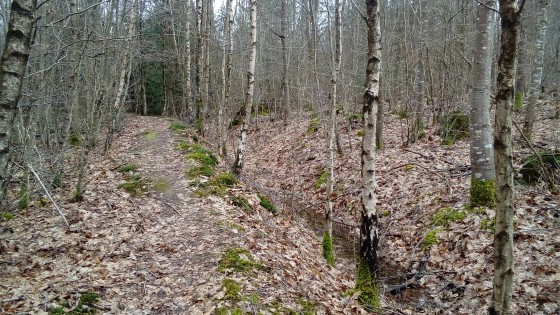 Vestiges d\'un camp gallo-romain