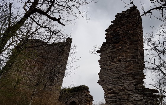Vestiges du Donjon