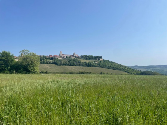 Vézelay (depuis Saint-Père)