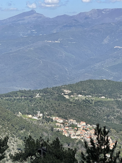 Vezzani
