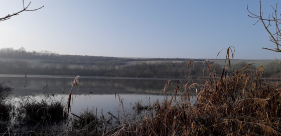 Vieil étang en hiver