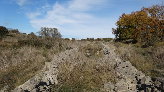 Vieux chemin
