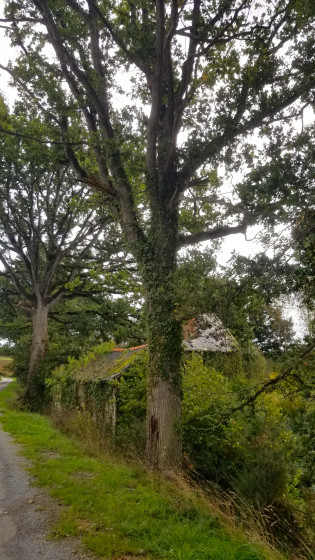 Vieux moulin