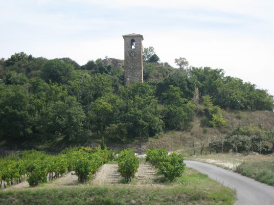 Vieux Piègon