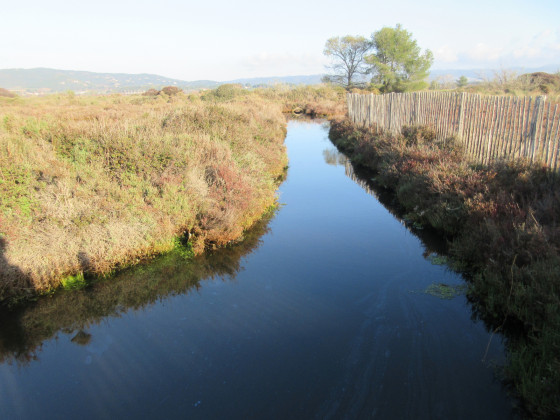 Vieux salins