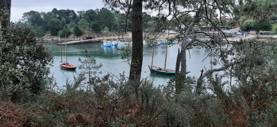 Vieux voiliers dans le port de Conleau