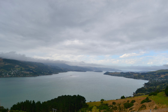 Vue de la région de Dunedin