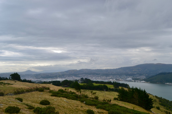Vue de la r&eacute;gion de Dunedin