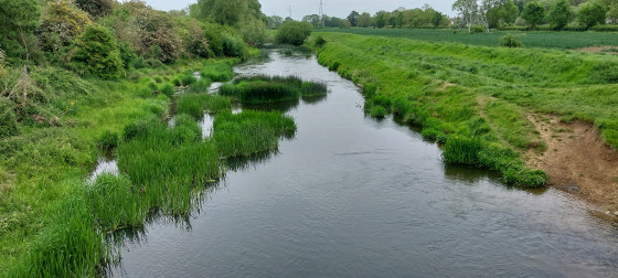View of river Welland crossing the bridge near start of walk.