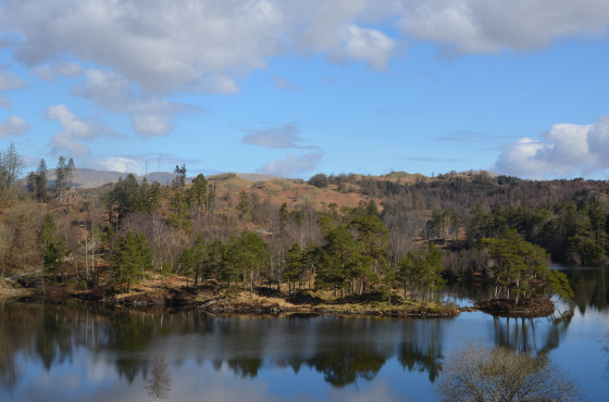 View of Tarn Hows