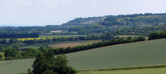 Vue sur les Chilterns depuis Swyncombe Downs