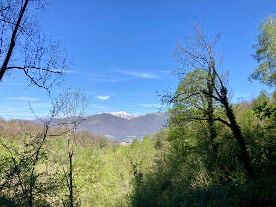 Vue sur les montagnes