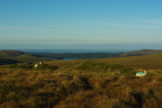 View towards Burrator Reservoir