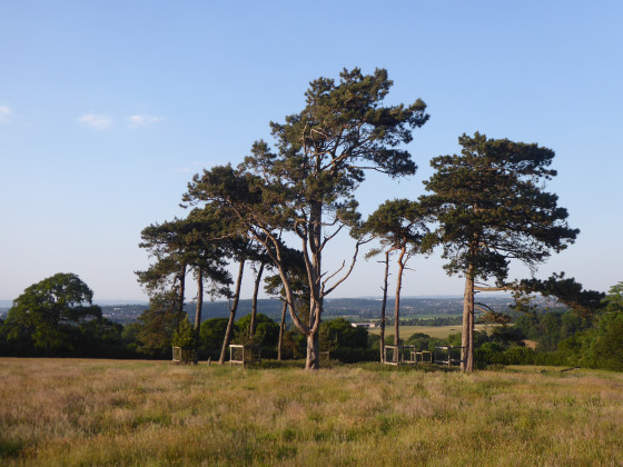 Vue vers la banlieue ouest de Bristol
