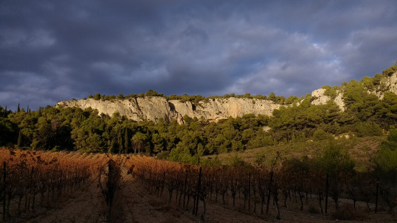 Vignes et falaise d\'escalade près du point de départ de la randonnée