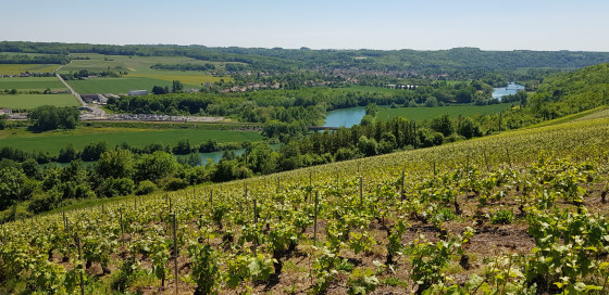 Vignes et Marne au-dessus de Nanteuil