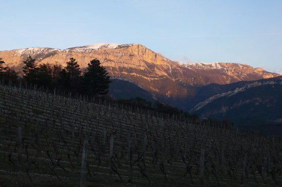 Vignes et Montagne de Glandasse