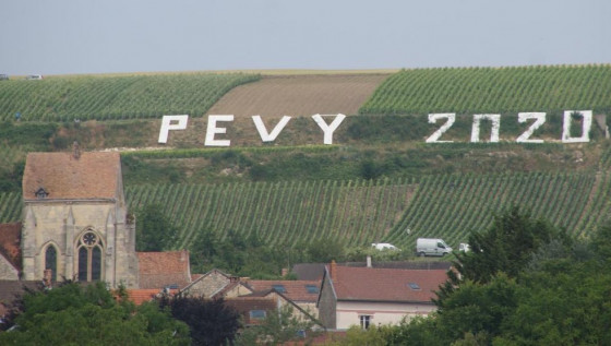 Vignoble de Pévy