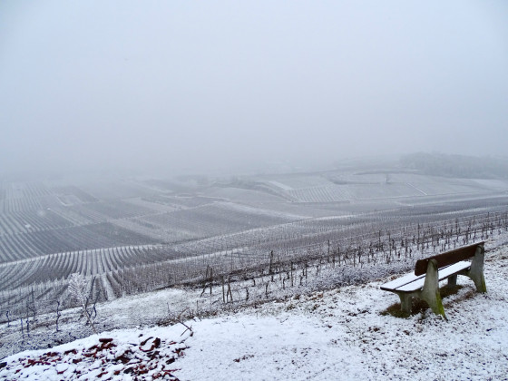 Vignoble enneigé du Limberg et banc pour s\'asseoir