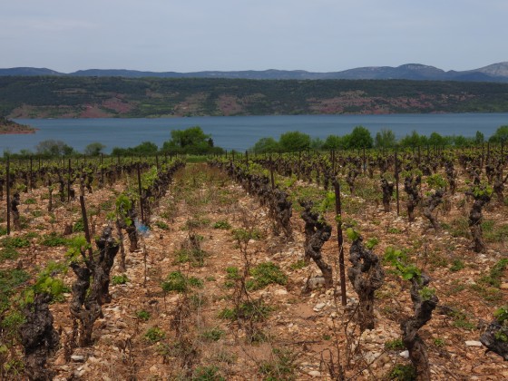 Tour du lac sales de salagou en velo
