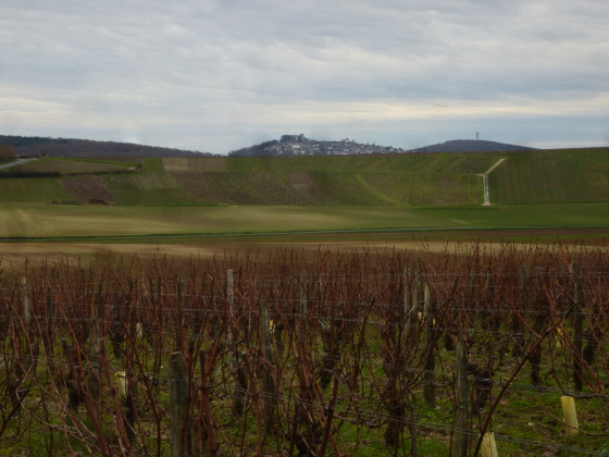 Vignoble Sury-en-Vaux