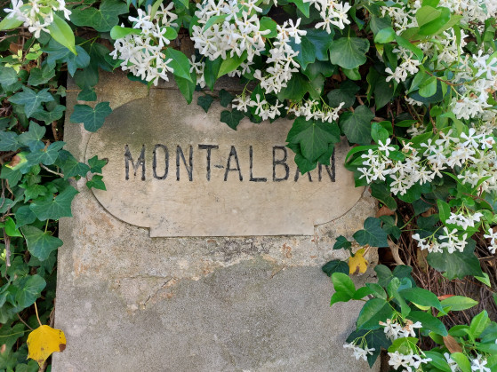 Villa Mont Alban entourée de Jasmin