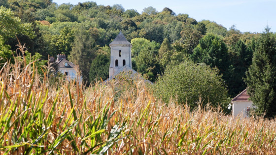 Village dans le maïs