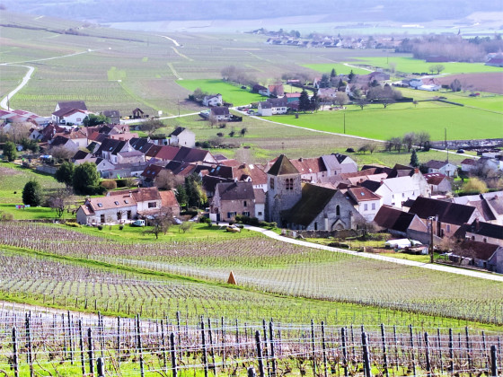 Village dans les vignes