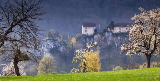 Village de Burg