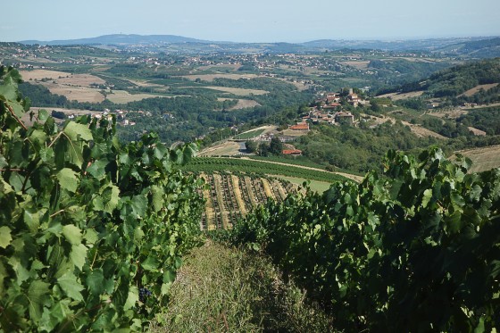 Village de Ternand