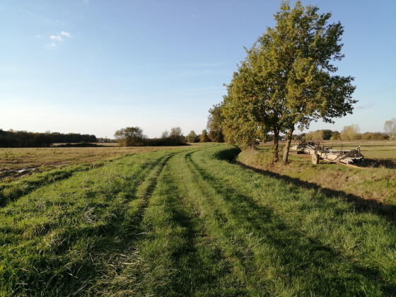 Villematier