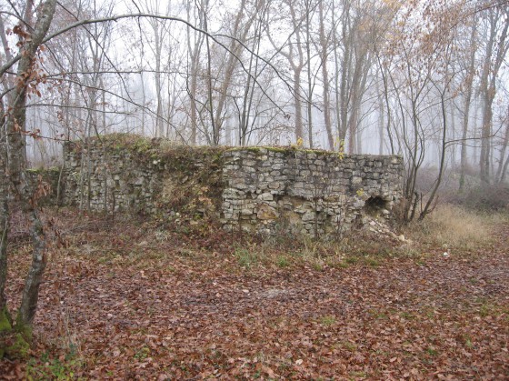 Villeneuve. Bois du Palais. Ruines de la Tour de Bau
