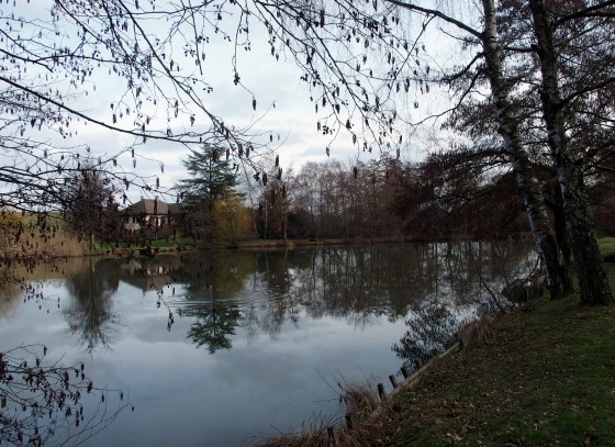 Etang