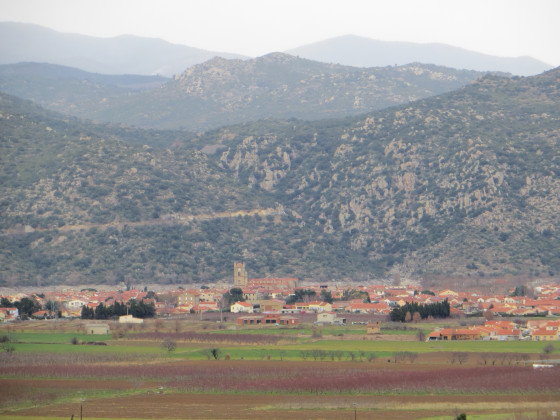 Vinça