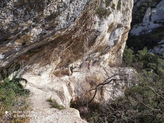 Vire des Rochers de Baude